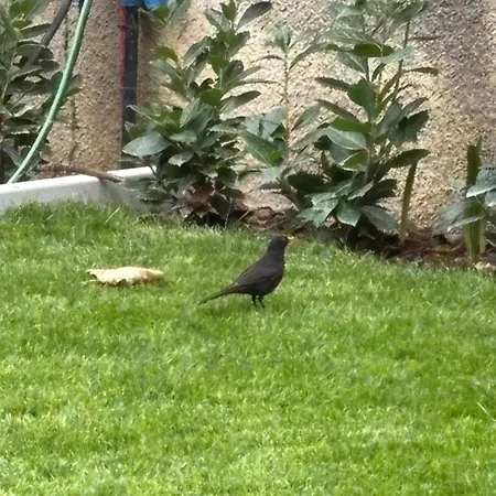 Giorgia's House * Сильви-Марина